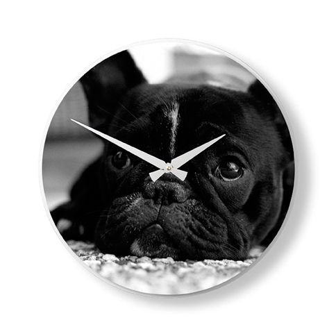 Nextime - zegar Dog 