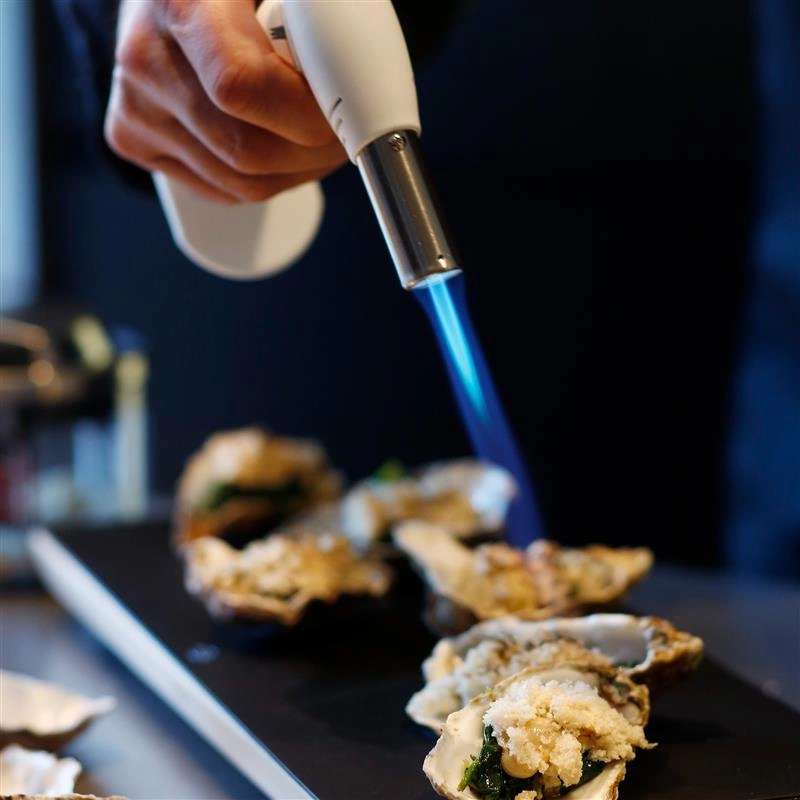 Roesle - Palnik gazowy