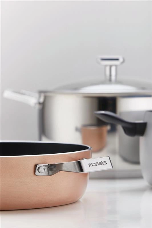 Moneta - Garnek wysoki z pokrywką 8 l 24 cm Accordo indukcj