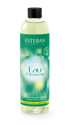 Esteban - Uzupełnienie do dyfuzorów 0,25 l Eau d'Amazonie