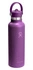 Hydro Flask - Butelka termiczna 21ozBeachplum Stand MoutHydro Flasklex