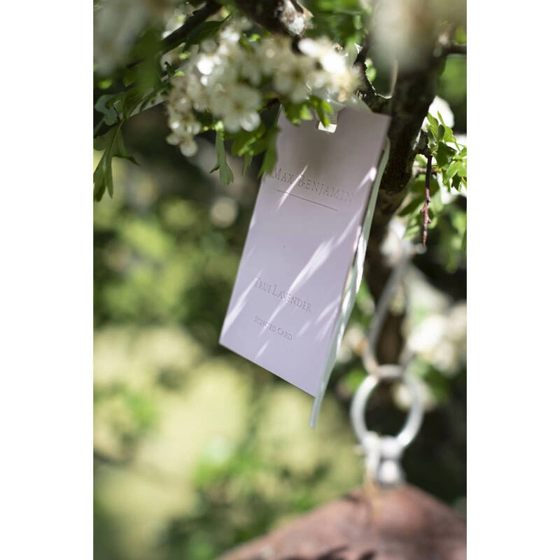 Max Benjamin - Karta zapachowa - True Lavender Classic