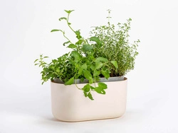 Urbalive - TOLITA Donica samonawadniająca prostokątna 31 x 16 cm, beżowy