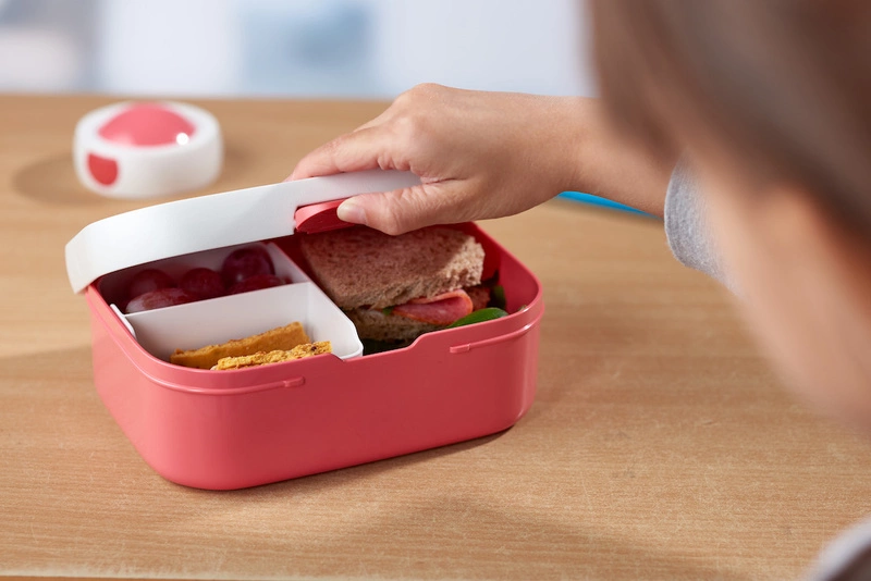 Mepal - Lunchbox Campus Animal Friends