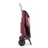 Rolser - Wózek na zakupy I-Max Urban MF 2L Burdeos