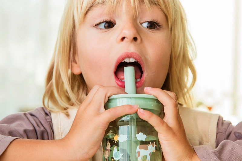 Mepal - Szklanka dziecięca ze słomką Mio 250ml Fairy Garden