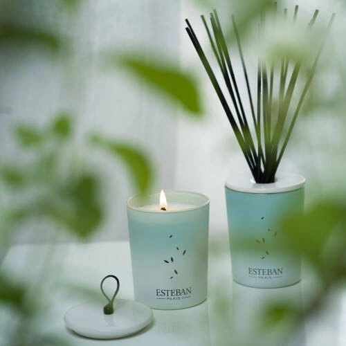 Esteban - Dyfuzor zapachowy dekoracyjny 100ml Pur Lin