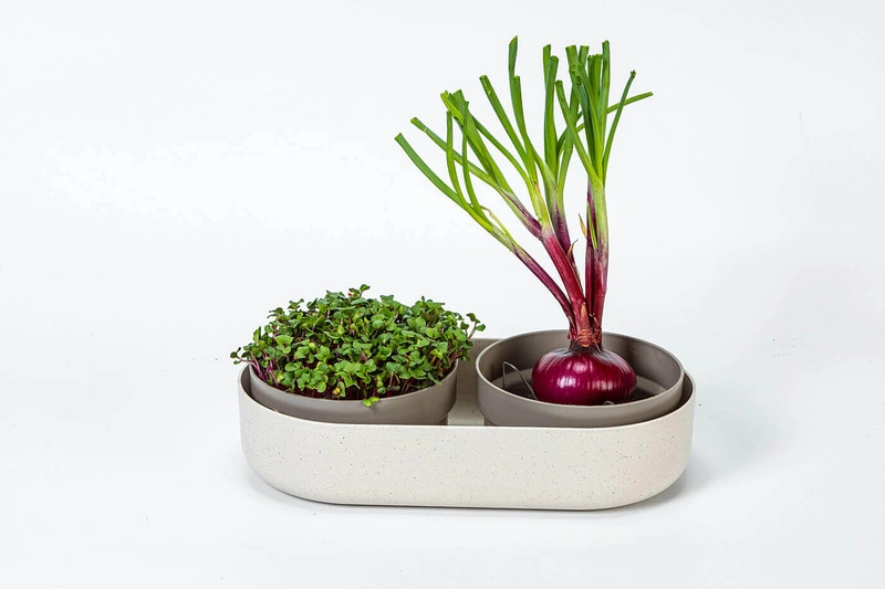 Urbalive - MICROGREENS Kiełkownica + pojemnik 30.5 x 16 cm, beżowy