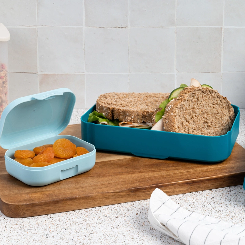 Amuse - Lunchbox duży Deep Sea Green