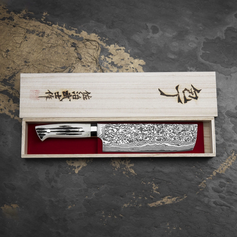 Takeshi Saji - WBB Ręcznie kuty nóż Nakiri 17 cm R-2