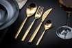 Mepra - Zestaw sztućców 24el. Ice Oro, Stiria