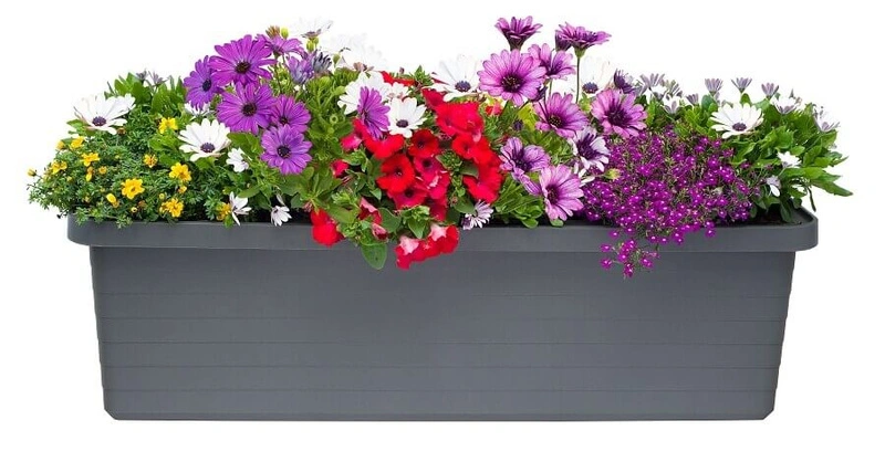 Urbalive - BERBERIS TRIO Donica samonawadniająca 117 x 39 cm, szary
