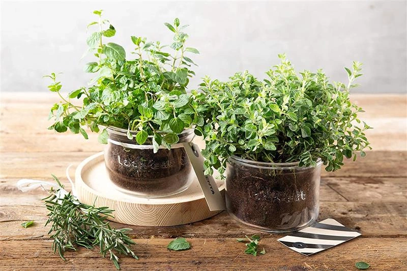 Luigi Bormioli - Słoik 500 ml Lock Eat