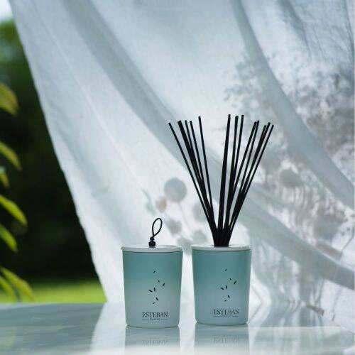 Esteban - Dyfuzor zapachowy dekoracyjny 100ml Pur Lin