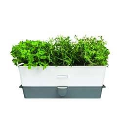 Cole & Mason - Donica nawadniająca do ziół duża