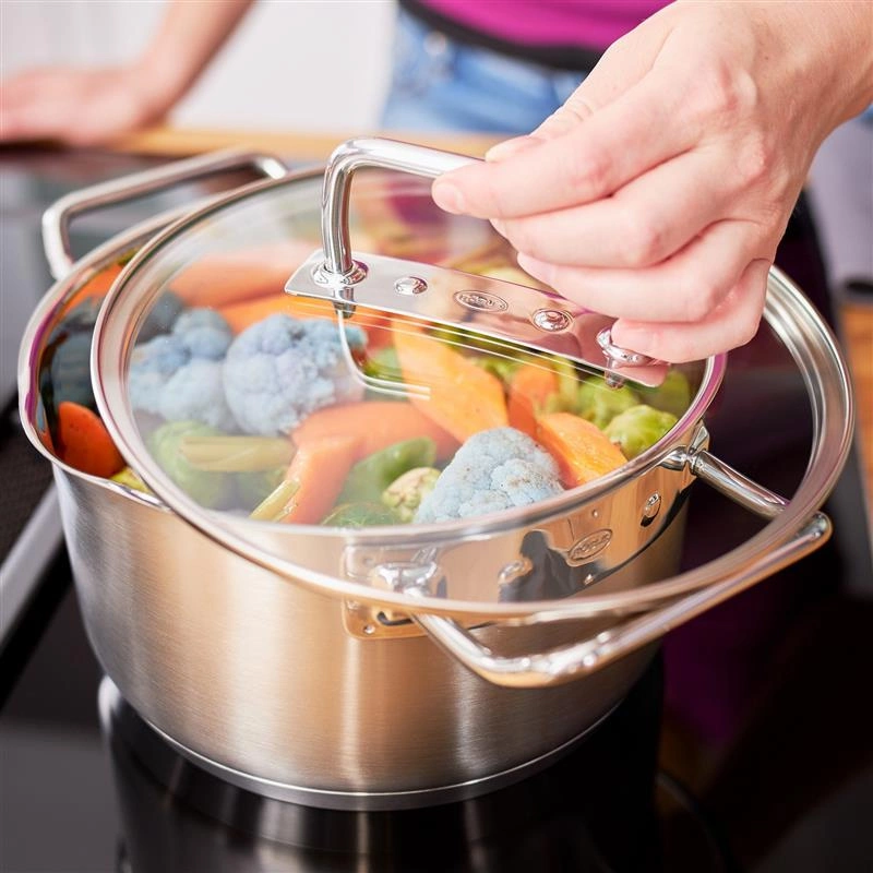 Roesle - Garnek wysoki z pokrywą 24cm EXPERTISO 5,8 l