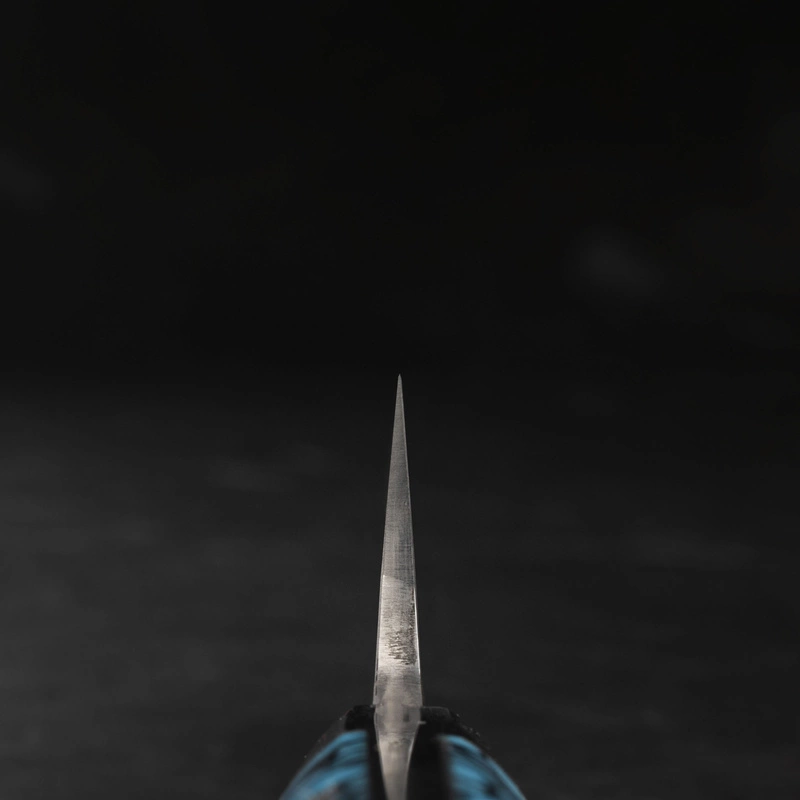 Takeshi Saji - BTQ R-2 Black Nóż uniwersalny 13 cm