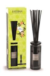 Esteban - Dyfuzor zapachowy 100ml Terre d'Agrumes