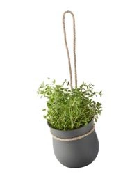 RIG-TIG - Doniczka do ziół Grow-It szara