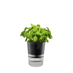 GEFU - doniczka na zioła BOTANICO