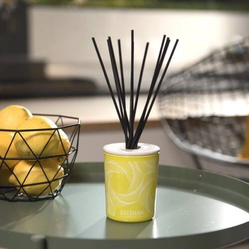 Esteban - Dyfuzor zapachowy dekor. 100ml Terre dAgrumes