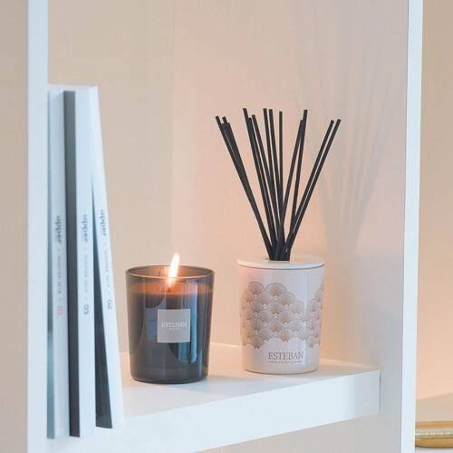 Esteban - Dyfuzor zapach.dekoracyjny 100ml Iris Cachemire