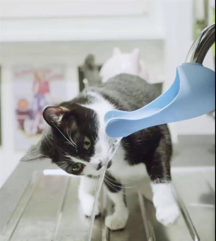 United Pets - Poidło dla kotów Gurgle, kolor morski