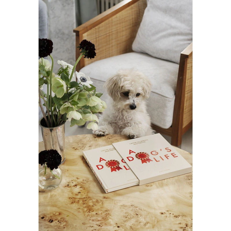 Printworks - Dziennik psa - A Dog's Life