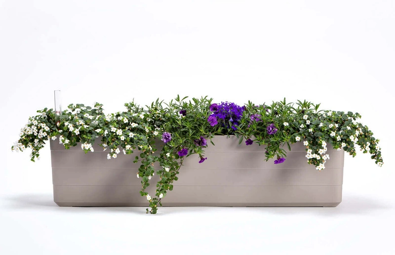 Urbalive - BERBERIS Donica samonawadniająca prostokątna 80 x 20 cm, jasnoszary