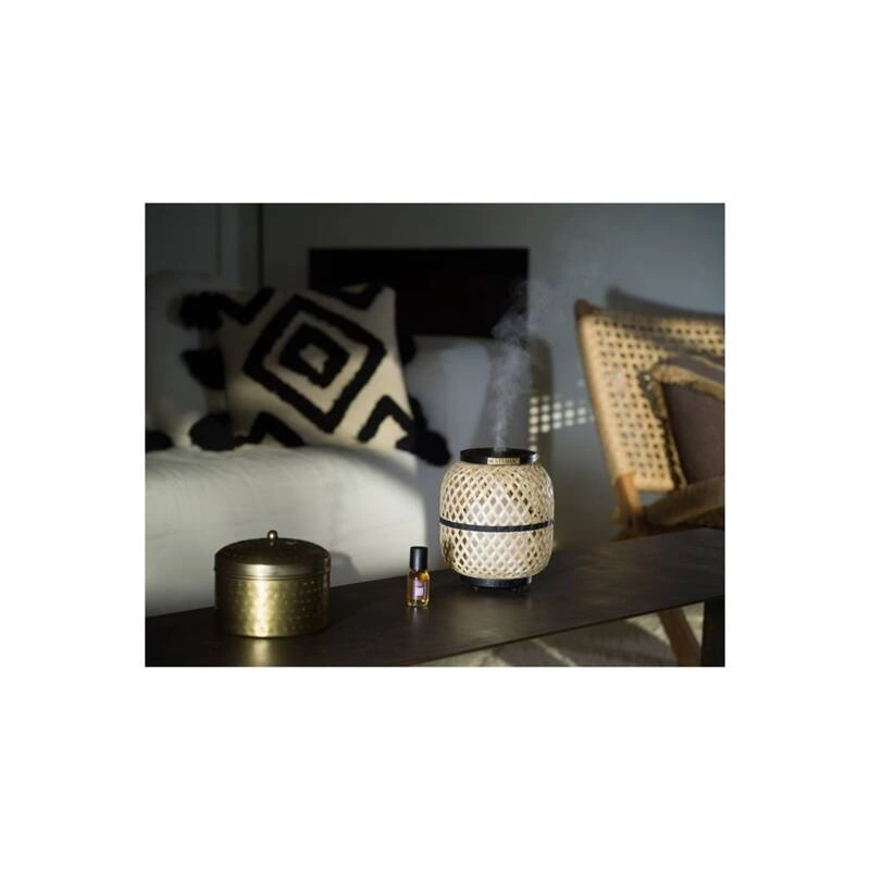 Esteban - Dyfuzor mgiełki zapachowej Bambou and Lumiere