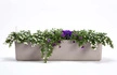 Urbalive - BERBERIS Donica samonawadniająca prostokątna 80 x 20 cm, jasnoszary
