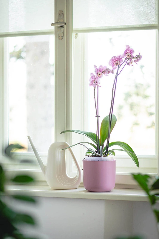 Urbalive - TOLITA AIR Donica samonawadniająca okrągła 19 cm, różowy