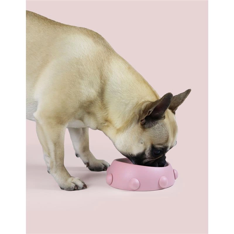 United Pets - Miska dla psa/kota Boss Nano 160 ml, kolor różowy