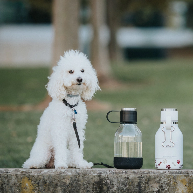 Asobu - Butelka z miską dla psa TRITAN BLACK, 1,5L