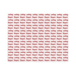 RAYEN - Filtr do okapu kuchennego