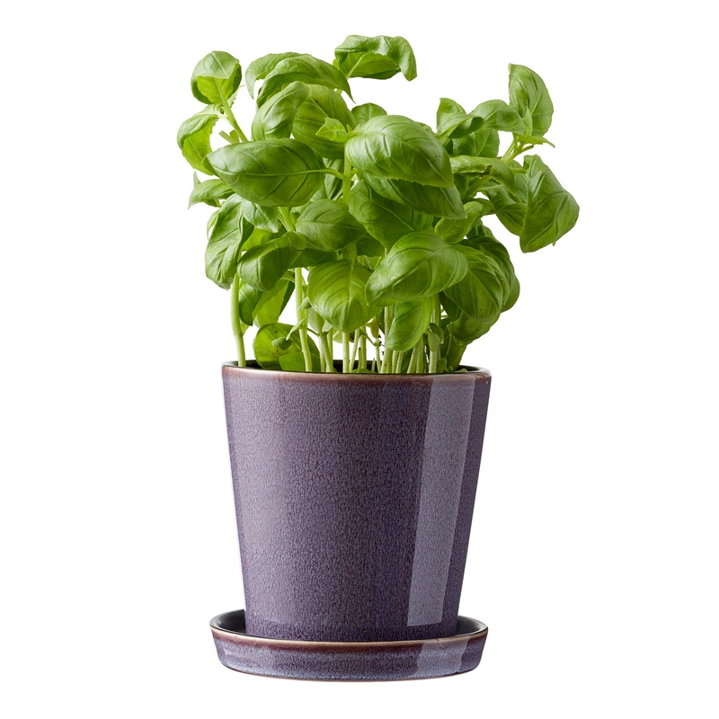 Bitz - Doniczka z podstawką 10 cm Lilac/Black