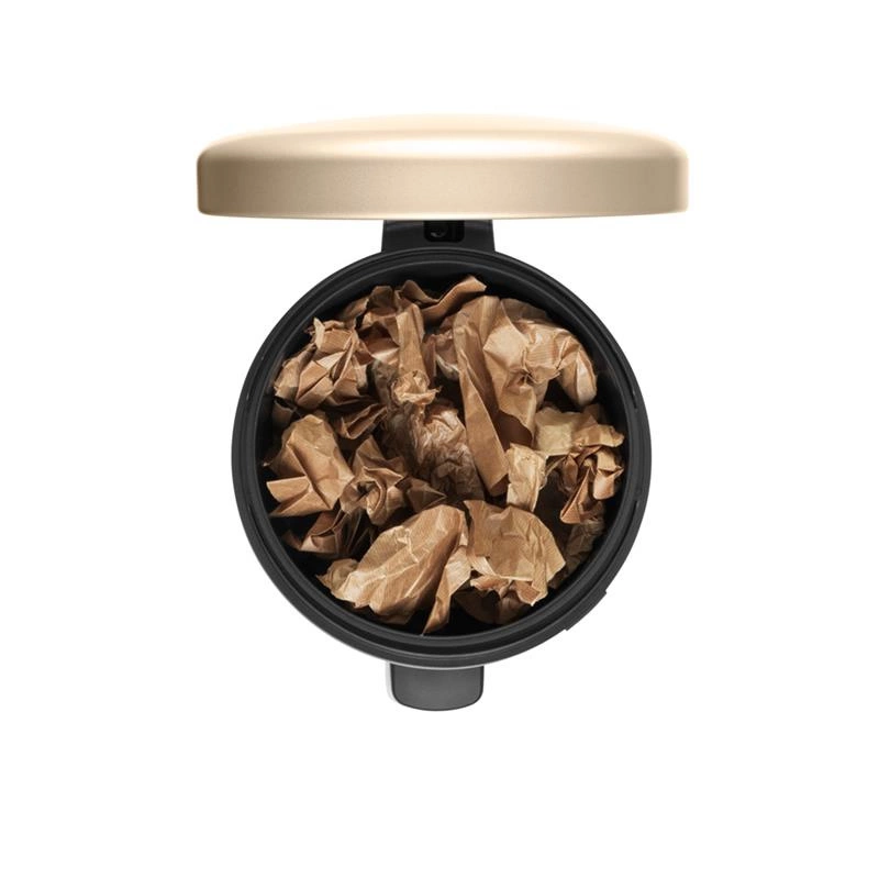 Brabantia - Kosz pedałowy 30L NewIcon szampański