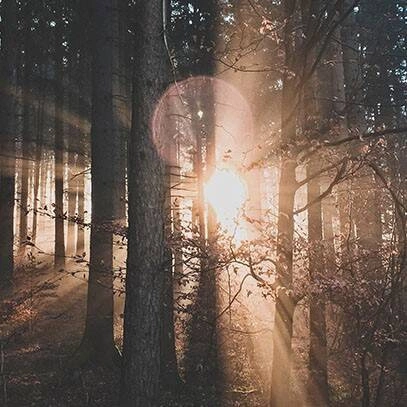 Cereria Molla - Świeca XXL 3,5 kg. Velvet Wood