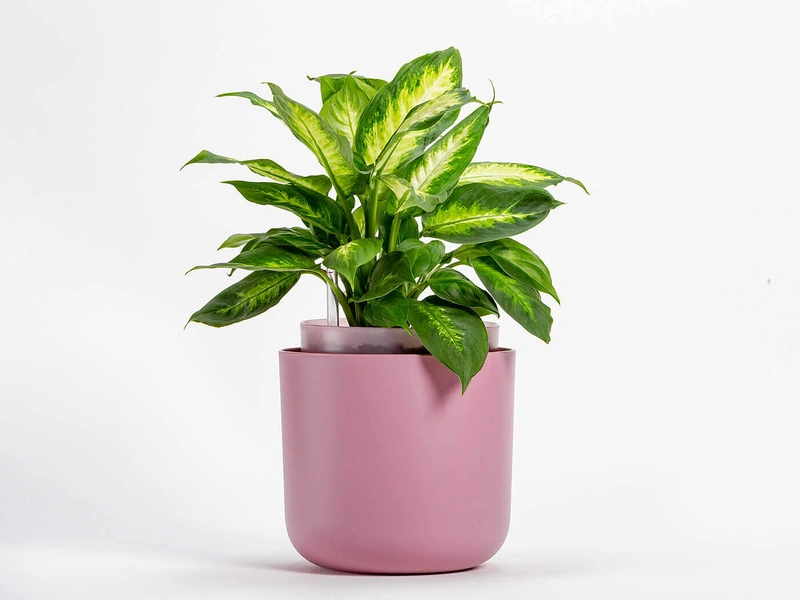 Urbalive - TOLITA Donica samonawadniająca okrągła 19 cm, różowy