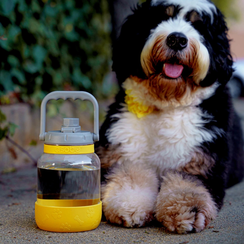 Asobu - Butelka THE BARKELY MUSTARD, 1,48L