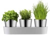 WMF - Zestaw 3 doniczek na zioła, Gourmet