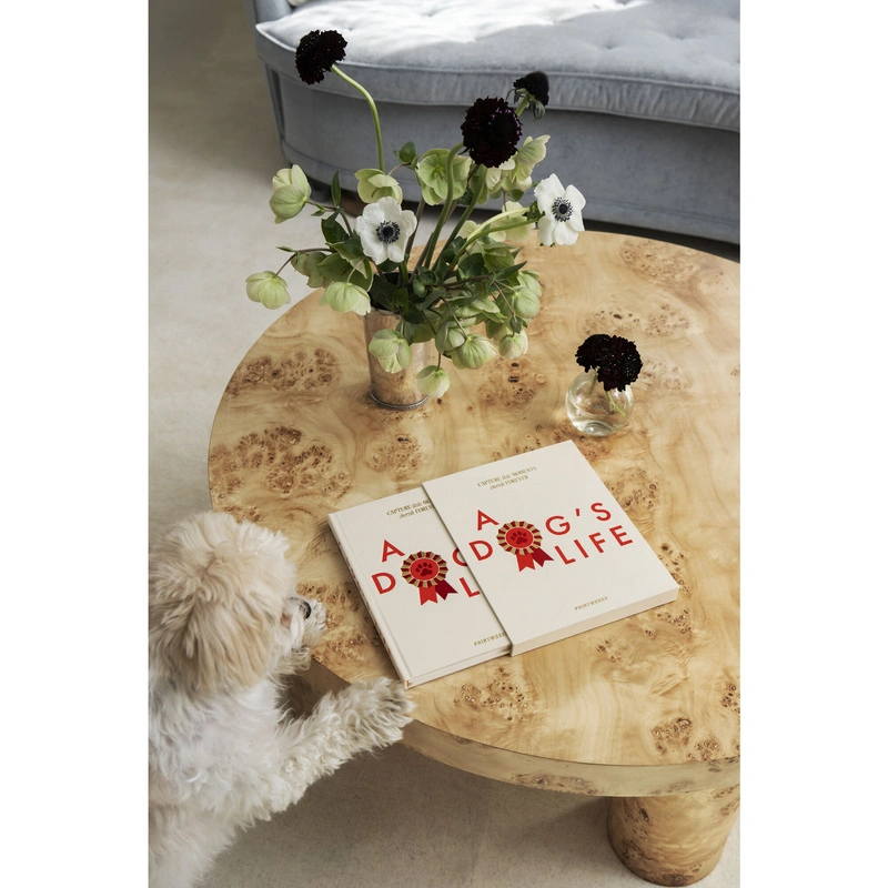 Printworks - Dziennik psa - A Dog's Life