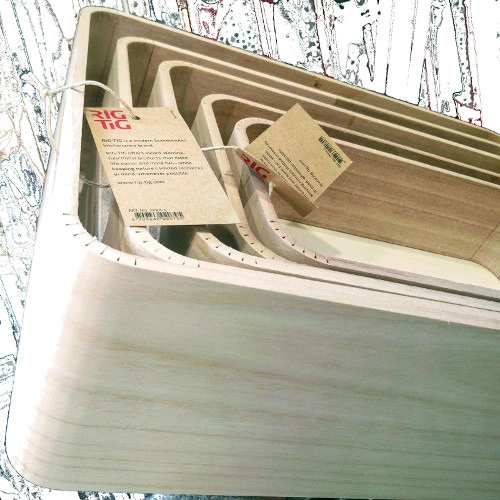 RIG-TIG - pudełka do przechowywania Save It 5 sztuki