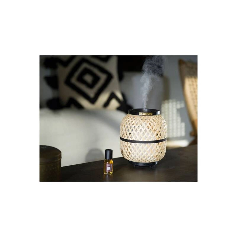 Esteban - Dyfuzor mgiełki zapachowej Bambou and Lumiere