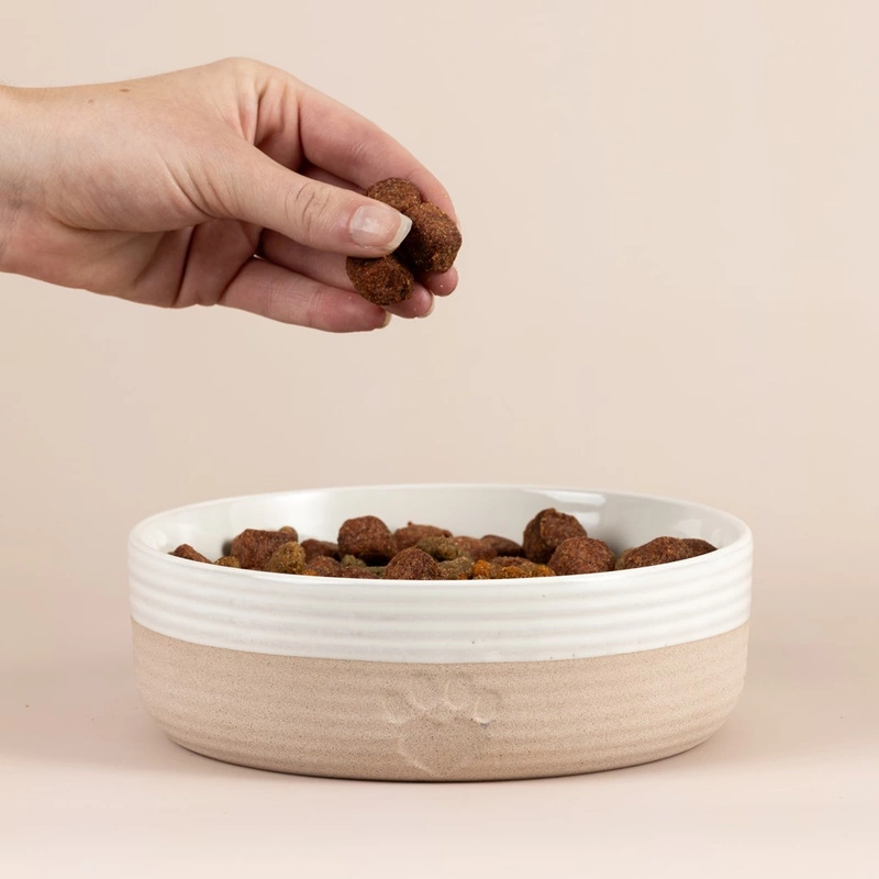 Mason Cash - Miska na karmę dla zwierzaka 18cm Heart Paw