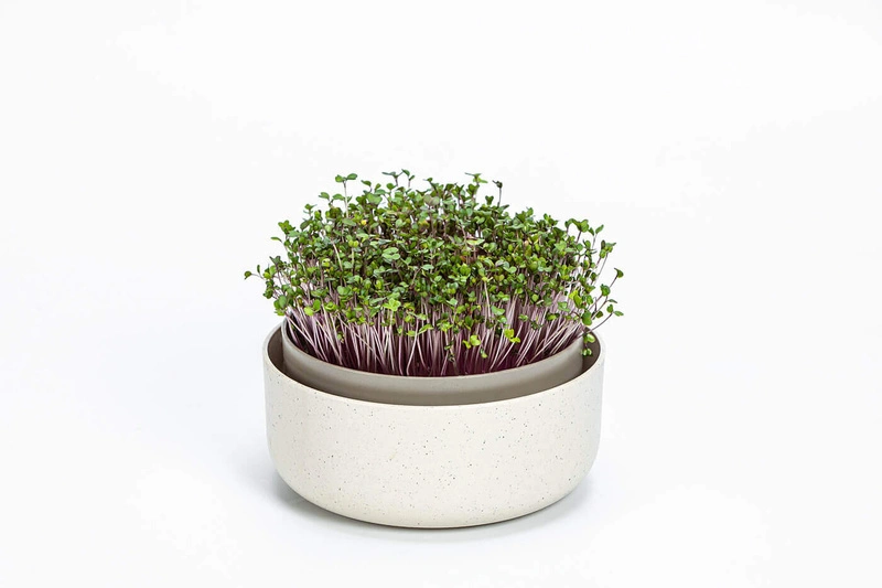 Urbalive - MICROGREENS Kiełkownica z filtrem 16 cm, beżowy