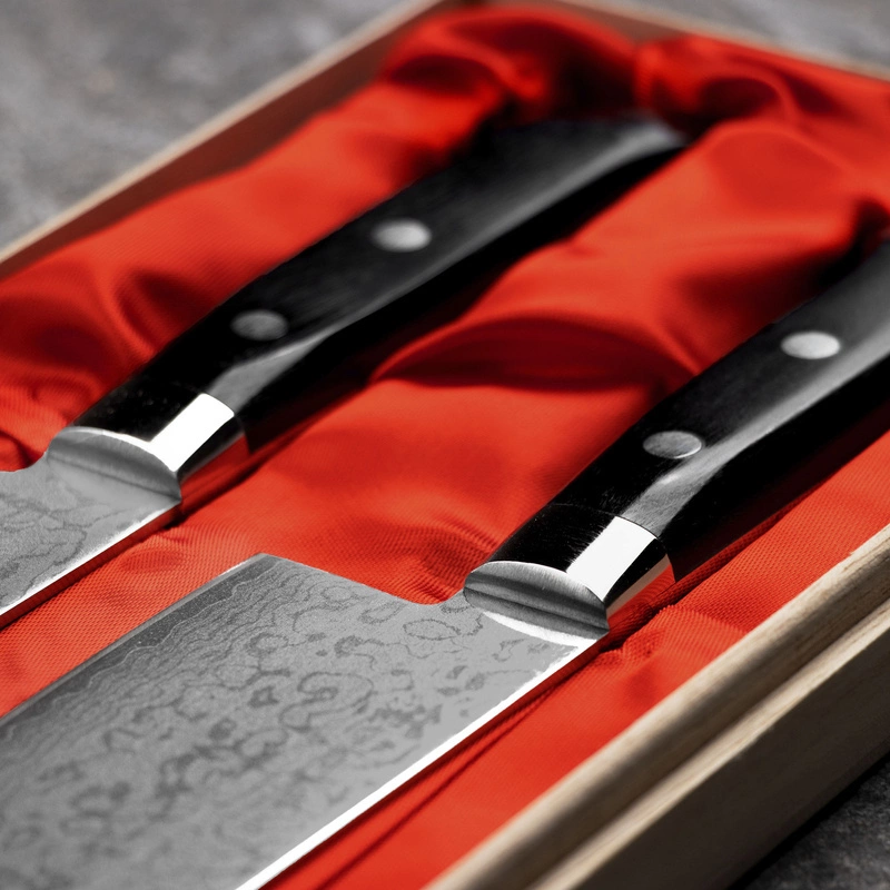 Satake - Unique Sai VG-10 Zestaw Nóż Santoku +Nakiri