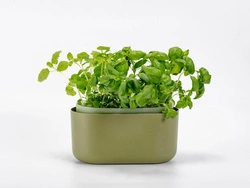 Urbalive - TOLITA Donica samonawadniająca prostokątna 31 x 16 cm, zielony