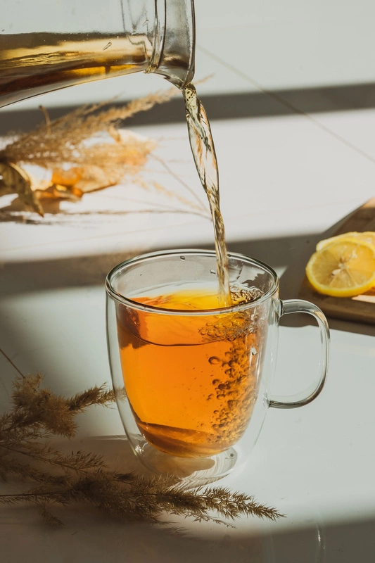 Vialli Design - Kubek z podwójną ścianką Amo 480 ml