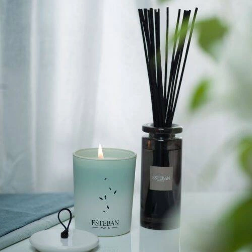 Esteban - Dyfuzor zapachowy 100ml. Pur Lin